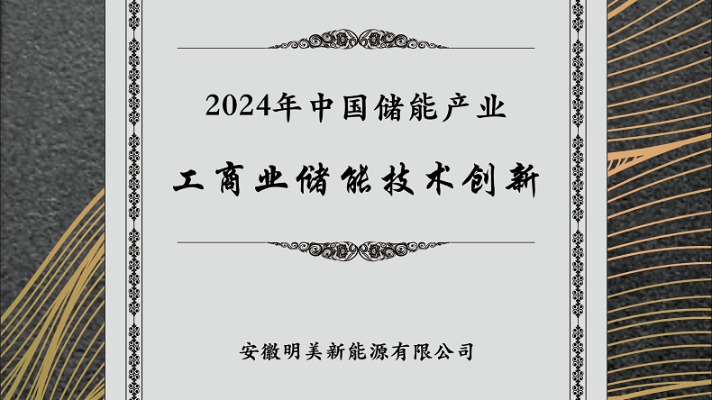 TWS Anhui Won 2024 China Commercial and Industrial Energy Storage Technology Innovation Award